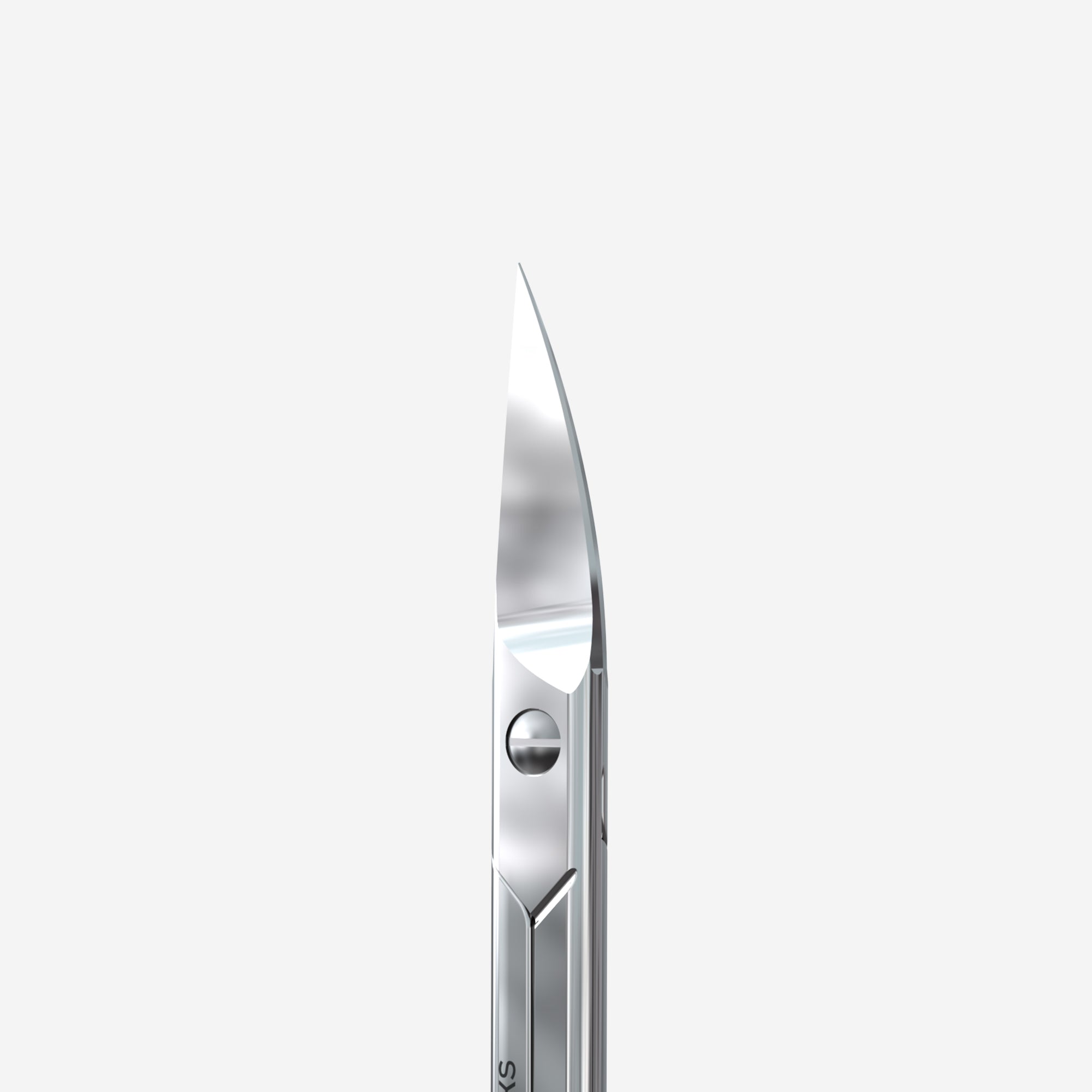 STALEKS HOME PRO Nail scissors