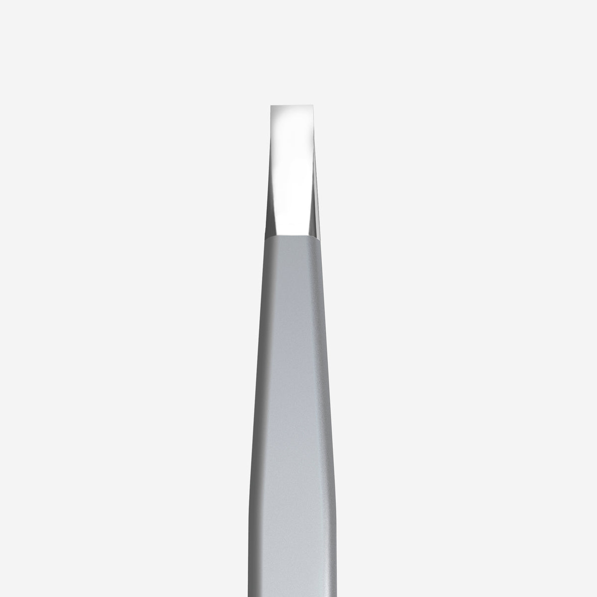 STALEKS EXPERT 10 TYPE 1 Professional eyebrow tweezers wide straight